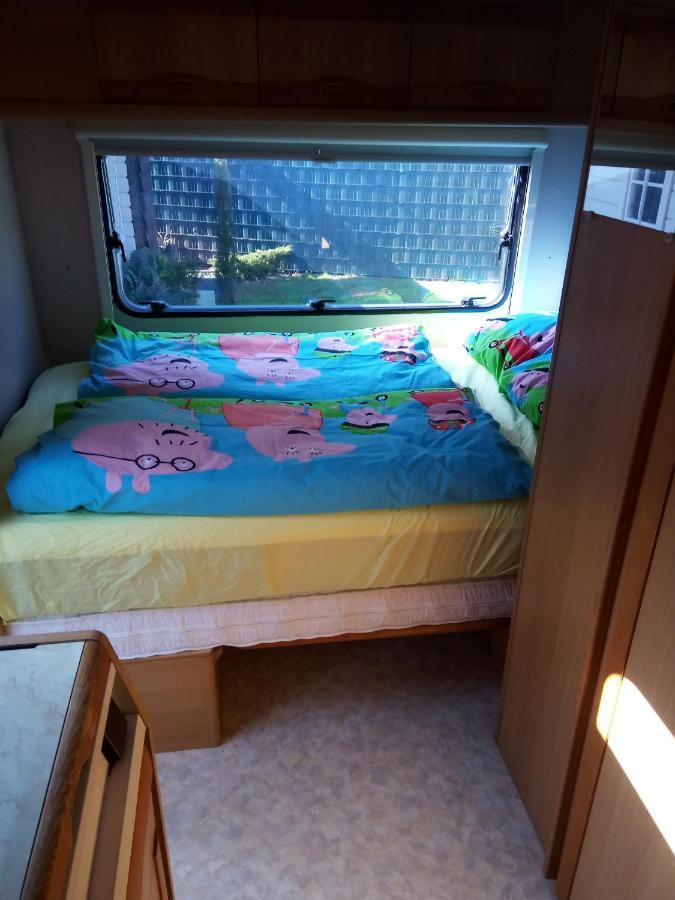 Urlaub Machen Direkt Am Irland Das Kinderparadies In Twisteden Im Grossen Garten Bei Privatleute Fur Maximal Sechs Personen Kevelaer Exterior foto